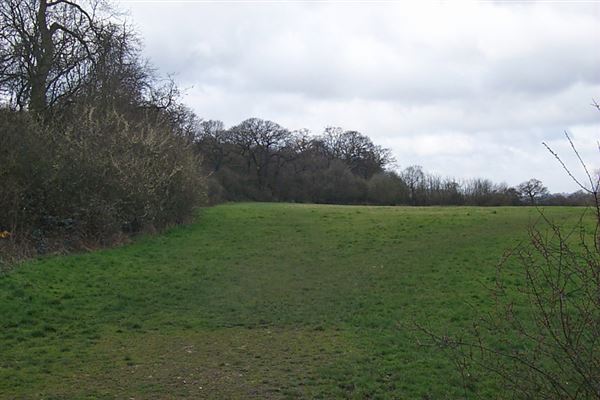 Fryent Country Park (01/05/2019)