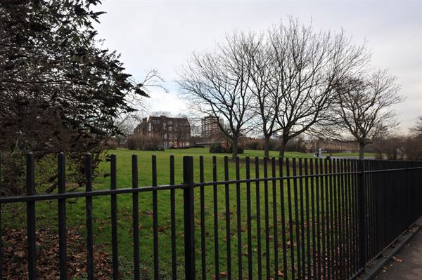 Friendly Gardens (01/05/2019)