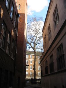 Milford Lane (01/05/2019)