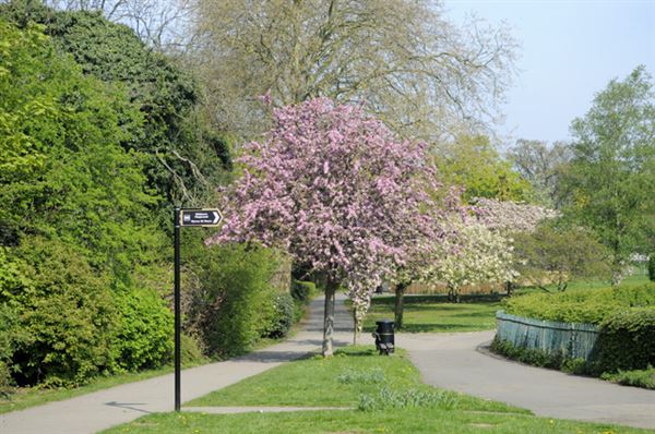 Harrow Recreation Ground (01/05/2019)