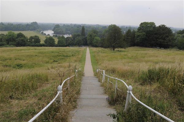 The Terrace Field (01/05/2019)