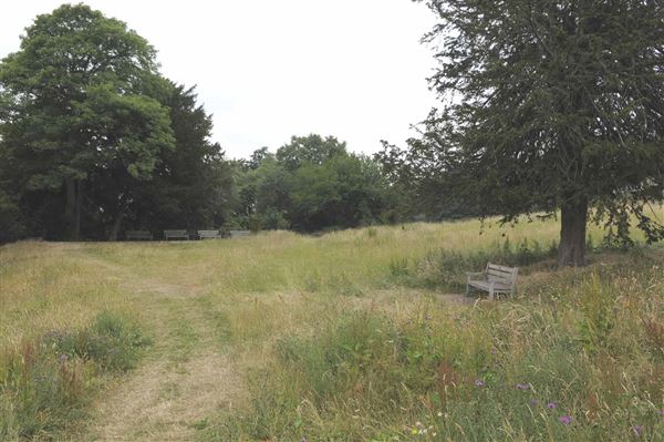 The Terrace Field (01/05/2019)