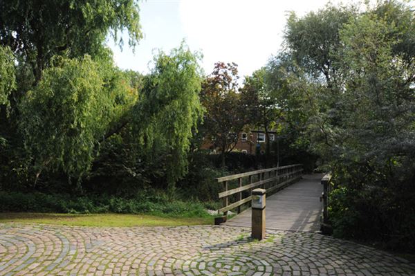 Russia Dock Woodland (01/05/2019)