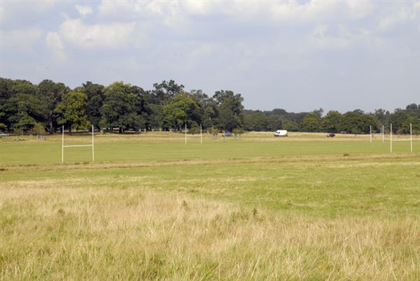 Richmond Park (01/05/2019)