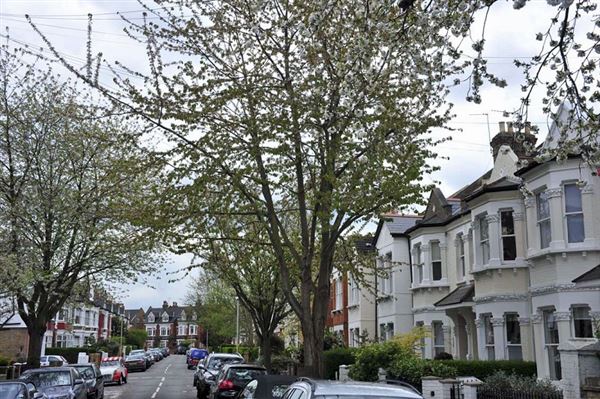 St Mary's Grove (01/05/2019)