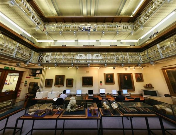 King's College London - Guy's Campus (01/05/2019)