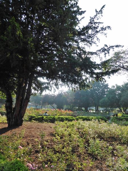 Kilburn Grange Park (01/05/2019)