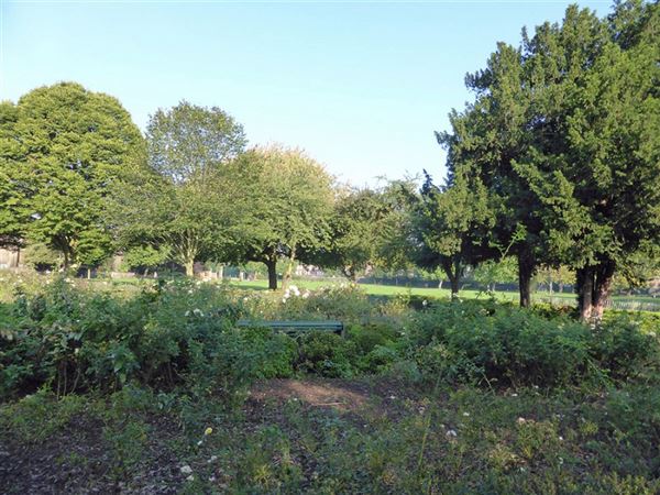 Kilburn Grange Park (01/05/2019)