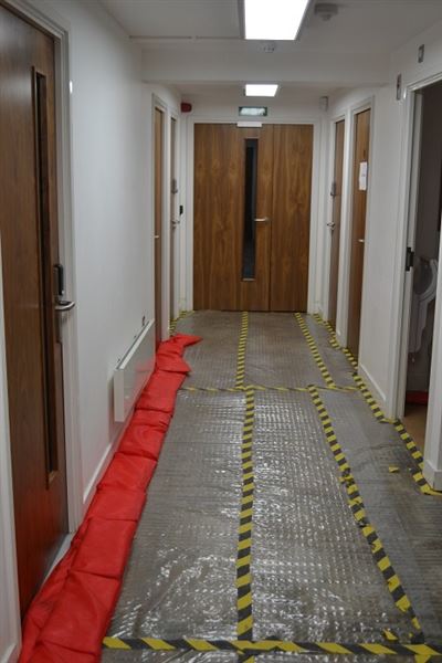 Hodgkin Huxley House (01/05/2019)