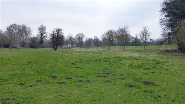 Foots Cray Meadows (01/05/2019)