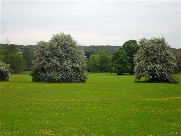 Foots Cray Meadows (01/05/2019)