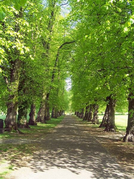 Beddington Park & The Grange (01/05/2019)