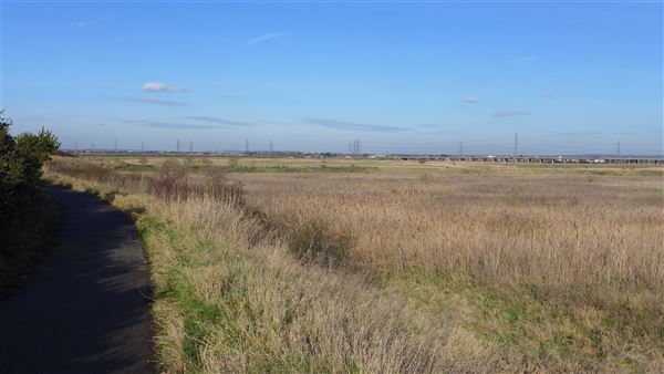 Rainham Marshes - Thames Side (20/04/2018)