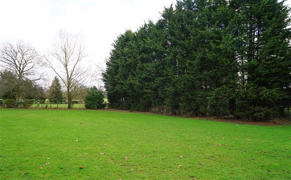 Sunny Hill Park (09/04/2018)