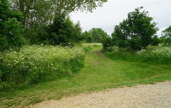 Walthamstow Marshes (30/04/2018)