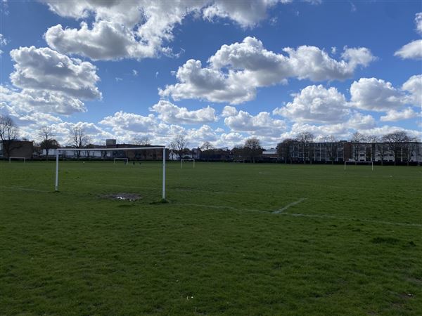 Markfield Park (07/04/2023 - Credits: Phil)
