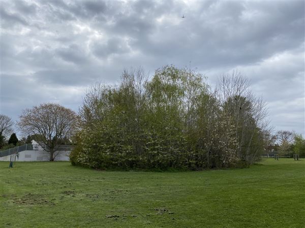 Abbey Hill Park (26/04/2023 - Credits: Phil)