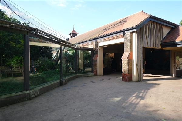 London Zoo (04/10/2024)