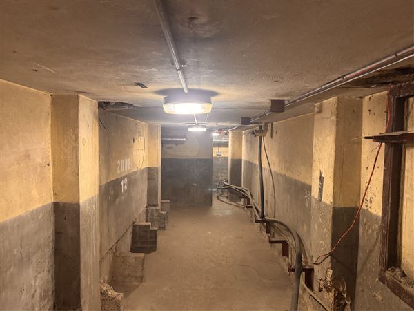 Barking Town Hall - Basement (17/01/2025)