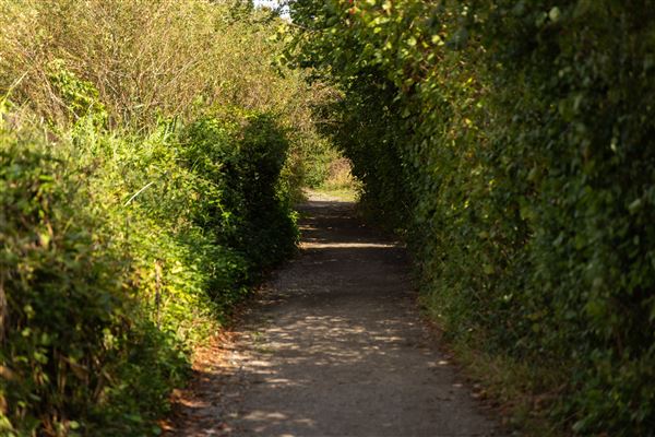 Keepers Farm (25/03/2026 - Credits: submitted by: Jo  Thompson)