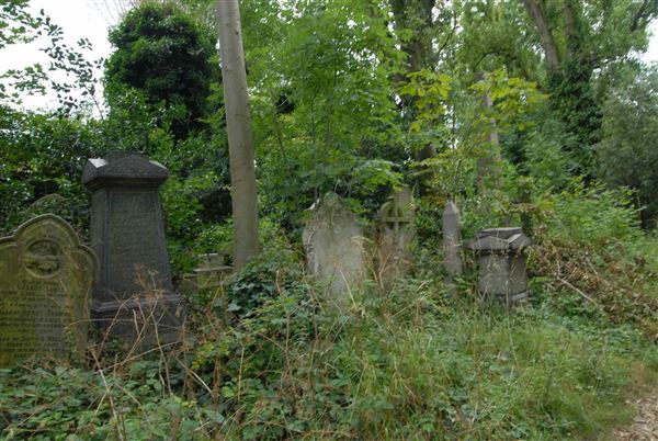 Abney Park Cemetery (01/05/2019)