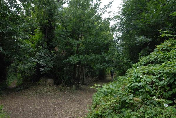 Abney Park Cemetery (01/05/2019)