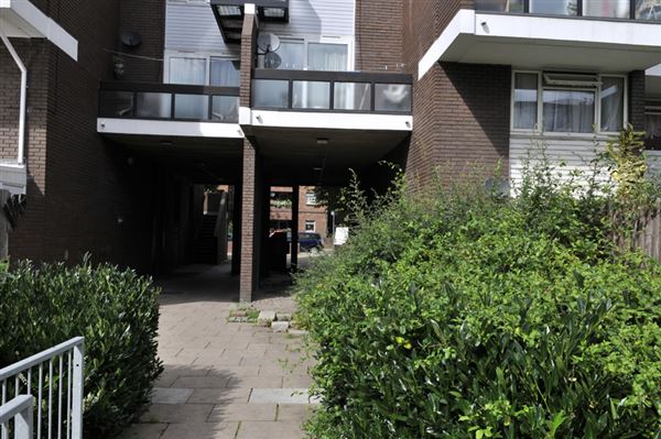 Dunster Gardens (01/05/2019)