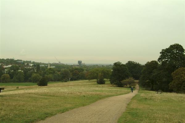 Hampstead Heath (01/05/2019)