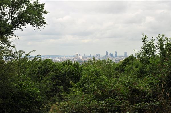 One Tree Hill, Honor Oak Park (01/05/2019)