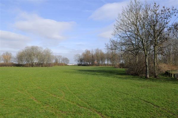 Wormwood Scrubs Open Space (01/05/2019)