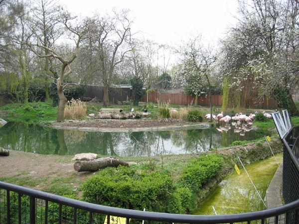 London Zoo (01/05/2019)