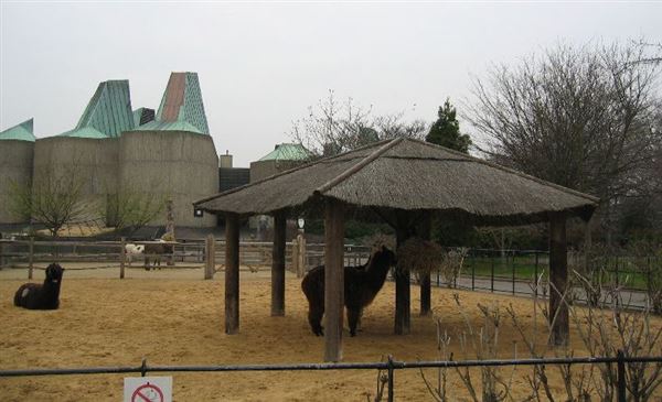 London Zoo (01/05/2019)
