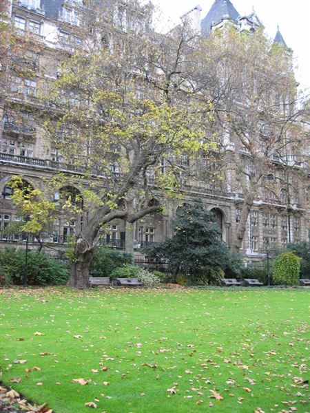 Victoria Embankment Gardens (01/05/2019)