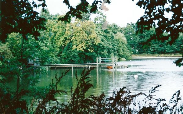 Hampstead Heath Bathing Ponds & Gospel Oak Lido (01/05/2019)