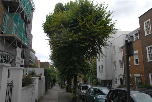 Flask Walk (01/05/2019)