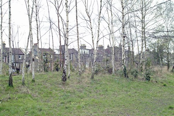 Railway Fields Nature Reserve (01/05/2019)