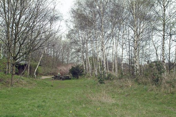 Railway Fields Nature Reserve (01/05/2019)