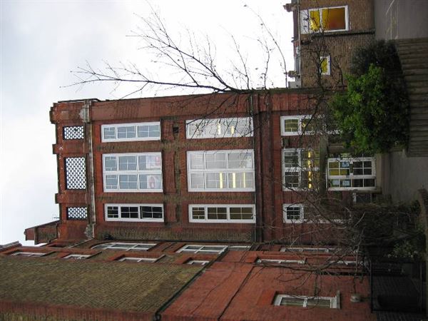 William Patten Primary School (01/05/2019)