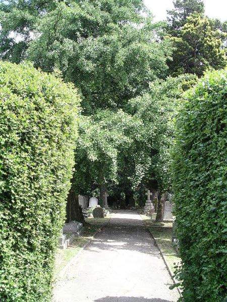 Old Southgate Cemetery (01/05/2019)