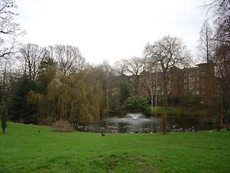 Springfield Park (01/05/2019)