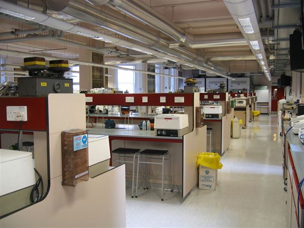 University College London - labs (01/05/2019)