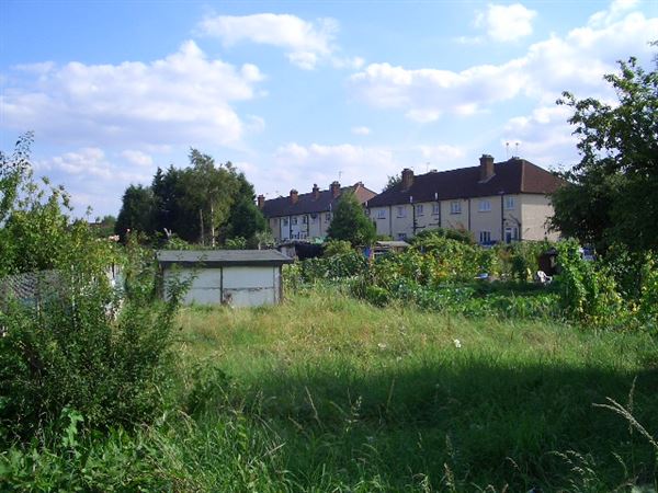 White Hart Lane Allotments (01/05/2019)