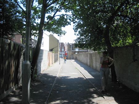 Steele Road Alley (01/05/2019)
