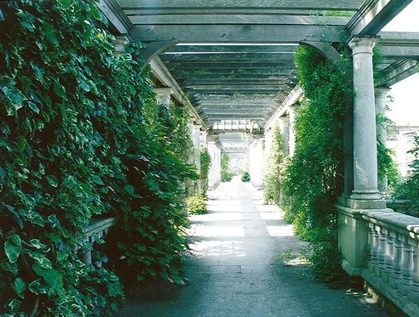 Hampstead Heath - the Hill Garden and Pergola (01/05/2019)