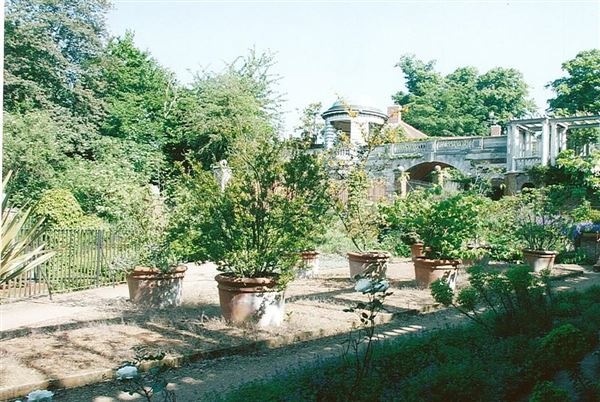 Hampstead Heath - the Hill Garden and Pergola (01/05/2019)