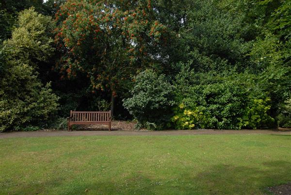 Hampstead Heath - the Hill Garden and Pergola (01/05/2019)