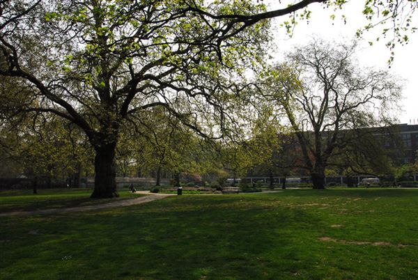 Brunswick Square Gardens (01/05/2019)