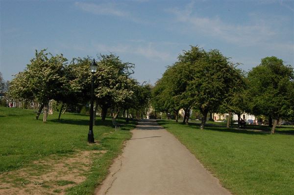 Primrose Hill (01/05/2019)