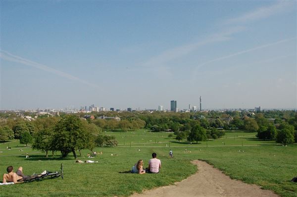 Primrose Hill (01/05/2019)