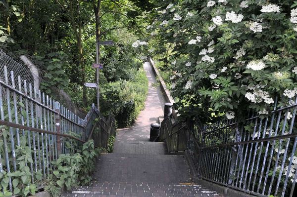 Barnes Railway Bridge (01/05/2019)